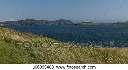 Grass along coastline, Trinity, Trinity Bay, Bonavista Peninsula, Newfoundland And Labrador, Canada View Large Photo Image Stock Photo - Grass along coastline, Trinity, Trinity Bay, Bonavista Peninsula, Newfoundland And Labrador, Canada. Fotosearch