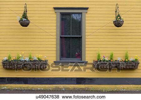 Stock Photo - Hanging baskets on the exterior wall of a house, Snoqualmie, Washington State, USA. Fotosearch