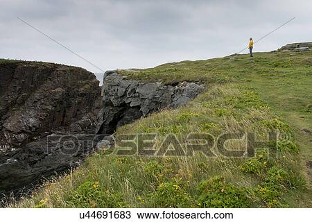 Stock Image - Hiker at coast, North Bird Island, Little Catalina, Bonavista Peninsula, Newfoundland And Labrador, Canada. Fotosearch