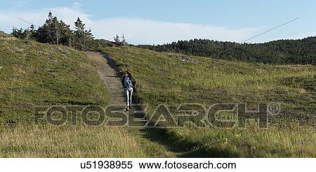 Stock Photography - Hiker at Long Point Hiking Trail, Crow Head, Twillingate, North Twillingate Island, Newfoundland And Labrador, Canada. Fotosearch