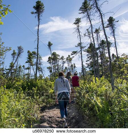 Stock Image - Hikers at Lookout Trail, Lookout Hills, Gros Morne National Park, Newfoundland And Labrador, Canada. Fotosearch