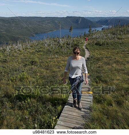 Stock Image - Hikers at Lookout Trail, Lookout Hills, Bonne Bay, Gros Morne National Park, Newfoundland And Labrador, Canada. Fotosearch
