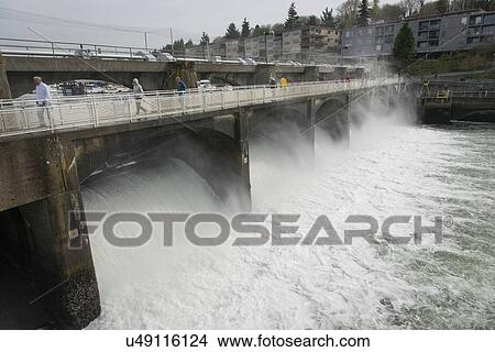 Hiram M. Chittenden Locks and Carl S. English Jr. Botanical Garden, Lake Washington Ship Canal, Seattle, Washington State, USA View Large Photo Image Picture - Hiram M. Chittenden Locks and Carl S. English Jr. Botanical Garden, Lake Washington Ship Canal, Seattle, Washington State, USA. Fotosearch