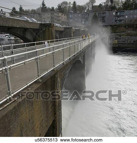 Stock Image - Hiram M. Chittenden Locks and Carl S. English Jr. Botanical Garden, Lake Washington Ship Canal, Seattle, Washington State, USA. Fotosearch