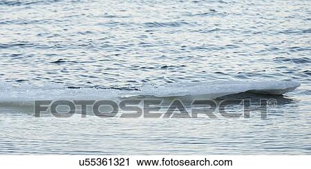 Stock Image - Ice floating on water, Riverton, Hecla Grindstone Provincial Park, Manitoba, Canada. Fotosearch