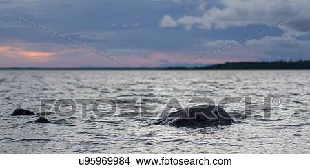 Picture - Lake Winnipeg, Riverton, Hecla Grindstone Provincial Park, Manitoba, Canada. Fotosearch
