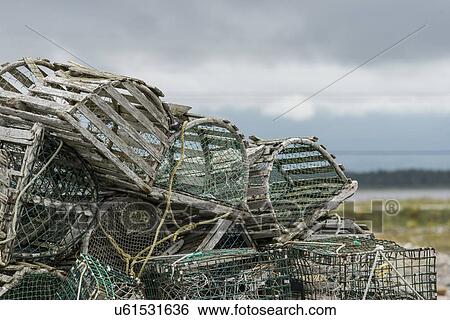 Lobster traps stacked at Parson's Pond, Gros Morne National Park, Newfoundland And Labrador, Canada View Large Photo Image Stock Photograph - Lobster traps stacked at Parson's Pond, Gros Morne National Park, Newfoundland And Labrador, Canada. Fotosearch