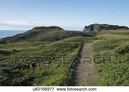 Stock Photo - Long Point Hiking Trail at Crow Head, Twillingate, North Twillingate Island, Newfoundland And Labrador, Canada. Fotosearch