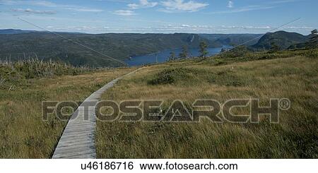 Lookout Trail along Bonne Bay, Lookout Hill, Gros Morne National Park, Newfoundland And Labrador, Canada View Large Photo Image Stock Photograph - Lookout Trail along Bonne Bay, Lookout Hill, Gros Morne National Park, Newfoundland And Labrador, Canada. Fotosearch