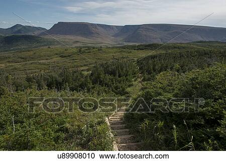 Stock Image - Lookout Trail and Lookout Hills in Gros Morne National Park, Newfoundland And Labrador, Canada. Fotosearch