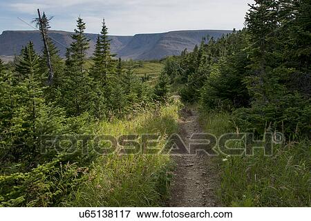 Stock Photo - Lookout Trail and Lookout Hills in Gros Morne National Park, Newfoundland And Labrador, Canada. Fotosearch