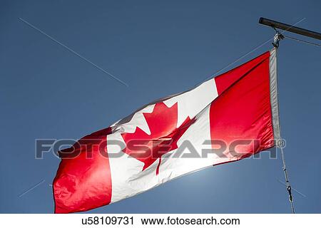 Low angle view of the Canadian flag fluttering, Twillingate, South Twillingate Island, Newfoundland And Labrador, Canada View Large Photo Image Stock Image - Low angle view of the Canadian flag fluttering, Twillingate, South Twillingate Island, Newfoundland And Labrador, Canada. Fotosearch