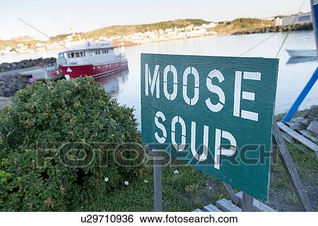 Moose soup sign, Twillingate, Newfoundland And Labrador, Canada View Large Photo Image Stock Photograph - Moose soup sign, Twillingate, Newfoundland And Labrador, Canada. Fotosearch