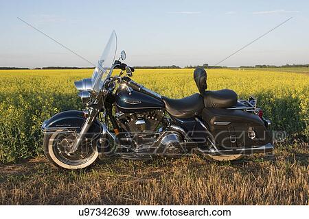 Motorcycle parked in a field, Oak Bluff, Manitoba, Canada View Large Photo Image Stock Photo - Motorcycle parked in a field, Oak Bluff, Manitoba, Canada. Fotosearch