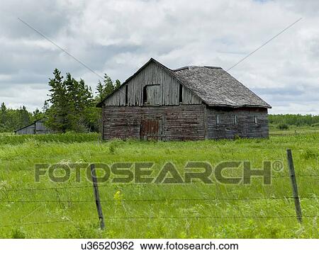Old abandoned barn in a field, Manitoba, Canada View Large Photo Image Stock Image - Old abandoned barn in a field, Manitoba, Canada. Fotosearch