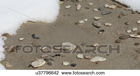 Stock Image - Pebbles on the beach, Riverton, Hecla Grindstone Provincial Park, Manitoba, Canada. Fotosearch