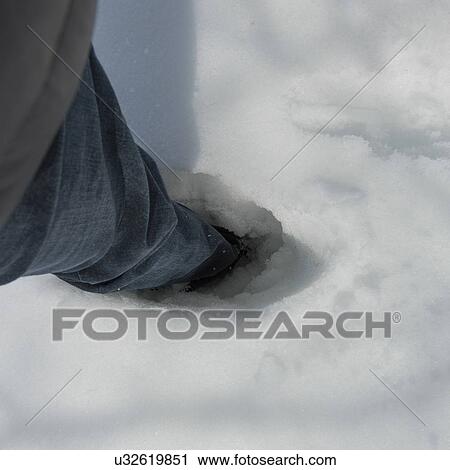 Person standing in deep snow, Hecla Grindstone Provincial Park, Manitoba, Canada View Large Photo Image Stock Image - Person standing in deep snow, Hecla Grindstone Provincial Park, Manitoba, Canada. Fotosearch