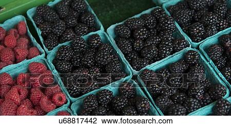 Stock Image - Raspberries and blackberries for sale at a market stall, Pike Place Market, Seattle, Washington State, USA. Fotosearch