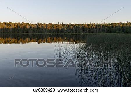 Stock Image - Reflection of trees on lake, Lake Audy Campground, Riding Mountain National Park, Manitoba, Canada. Fotosearch