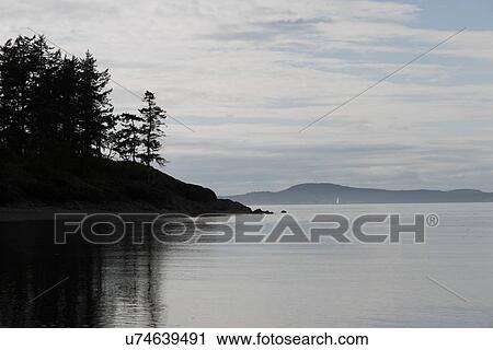 Stock Image - Reflection of trees on water, Deception Pass State Park, Oak Harbor, Washington State, USA. Fotosearch