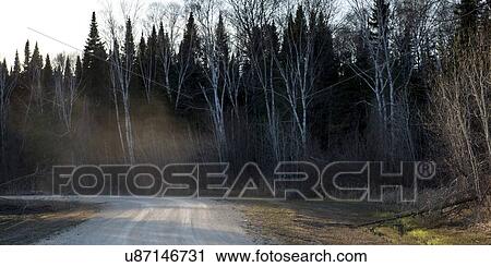 Road passing through forest, Hecla Grindstone Provincial Park, Manitoba, Canada View Large Photo Image Stock Image - Road passing through forest, Hecla Grindstone Provincial Park, Manitoba, Canada. Fotosearch