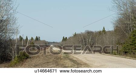 Road passing through landscape, Chatfield, Manitoba, Canada View Large Photo Image Stock Image - Road passing through landscape, Chatfield, Manitoba, Canada. Fotosearch
