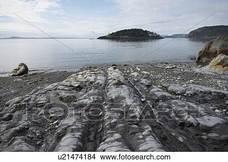 Picture - Rocks along shoreline, Deception Pass State Park, Oak Harbor, Washington State, USA. Fotosearch