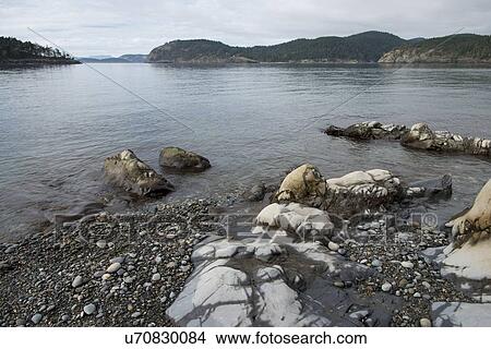 Picture - Rocks along shoreline, Deception Pass State Park, Oak Harbor, Washington State, USA. Fotosearch