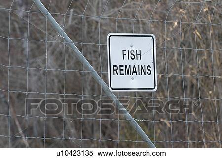 Sign board of fish remains, Hecla Grindstone Provincial Park, Manitoba, Canada View Large Photo Image Stock Photography - Sign board of fish remains, Hecla Grindstone Provincial Park, Manitoba, Canada. Fotosearch