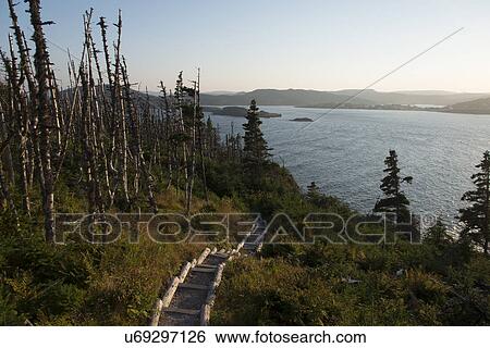 Skerwink Trail at coast, Port Rexton, Bonavista Peninsula, Newfoundland And Labrador, Canada View Large Photo Image Stock Photograph - Skerwink Trail at coast, Port Rexton, Bonavista Peninsula, Newfoundland And Labrador, Canada. Fotosearch
