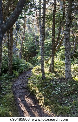 Stock Photograph - Skerwink Trail, Bonavista Peninsula, Newfoundland And Labrador, Canada. Fotosearch