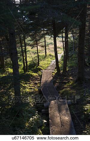 Stock Photography - Skerwink Trail, Port Rexton, Bonavista Peninsula, Newfoundland And Labrador, Canada. Fotosearch