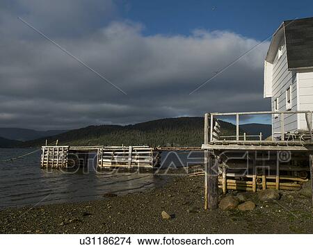 Picture - Stilt house on coastline, Norris Point, Newfoundland And Labrador, Canada. Fotosearch