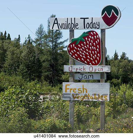 Strawberry Sign post, Newfoundland And Labrador, Canada View Large Photo Image Picture - Strawberry Sign post, Newfoundland And Labrador, Canada. Fotosearch