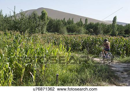 Stock Image - Tourist riding bicycle at farm, Dunhuang, Jiuquan, Gansu Province, China. Fotosearch