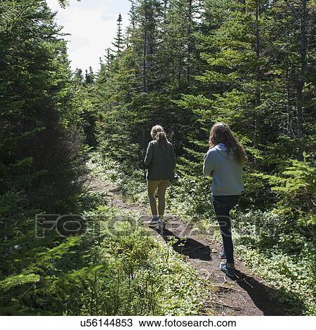 Tourists at James W. Humber Hiking Trail, Norris Point, Gros Morne National Park, Newfoundland And Labrador, Canada View Large Photo Image Stock Image - Tourists at James W. Humber Hiking Trail, Norris Point, Gros Morne National Park, Newfoundland And Labrador, Canada. Fotosearch