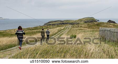 Tourists at North Bird Island, Little Catalina, Bonavista Peninsula, Newfoundland And Labrador, Canada View Large Photo Image Stock Image - Tourists at North Bird Island, Little Catalina, Bonavista Peninsula, Newfoundland And Labrador, Canada. Fotosearch