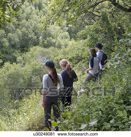 Stock Image - Tourists in a forest, Riding Mountain National Park, Manitoba, Canada. Fotosearch