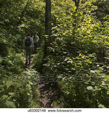 Tourists in a forest, Riding Mountain National Park, Manitoba, Canada View Large Photo Image Stock Photo - Tourists in a forest, Riding Mountain National Park, Manitoba, Canada. Fotosearch