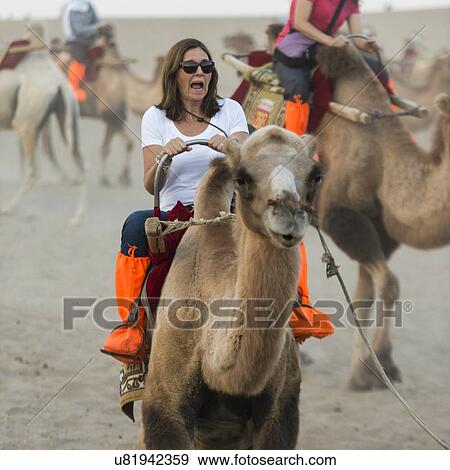 Stock Photo - Tourists riding camels at Mingsha Shan, Dunhuang, Jiuquan, Gansu Province, China. Fotosearch
