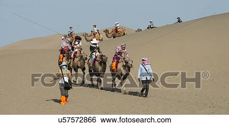 Tourists riding camels at Mingsha Shan, Dunhuang, Jiuquan, Gansu Province, China View Large Photo Image Stock Photograph - Tourists riding camels at Mingsha Shan, Dunhuang, Jiuquan, Gansu Province, China. Fotosearch