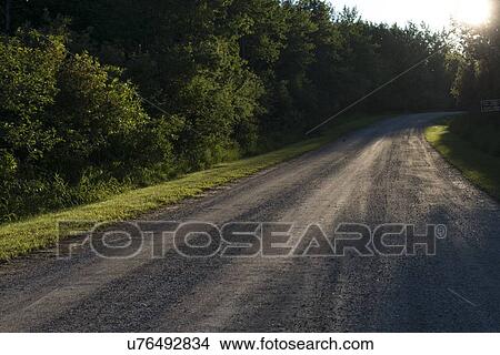 Picture - Trees along a gravel road, Wasagaming, Riding Mountain National Park, Manitoba, Canada. Fotosearch