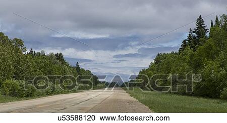 Trees along gravel road, Riverton, Hecla Grindstone Provincial Park, Manitoba, Canada View Large Photo Image Stock Image - Trees along gravel road, Riverton, Hecla Grindstone Provincial Park, Manitoba, Canada. Fotosearch
