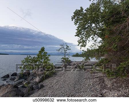 Stock Image - Trees and rocks along shoreline, Lake Winnipeg, Riverton, Hecla Grindstone Provincial Park, Manitoba, Canada. Fotosearch