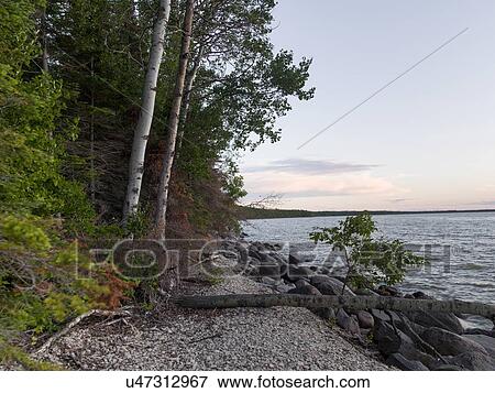 Stock Photo - Trees and rocks along shoreline, Lake Winnipeg, Riverton, Hecla Grindstone Provincial Park, Manitoba, Canada. Fotosearch