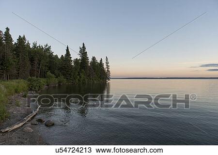 Stock Image - Trees at the lakeside, Lake Audy Campground, Riding Mountain National Park, Manitoba, Canada. Fotosearch