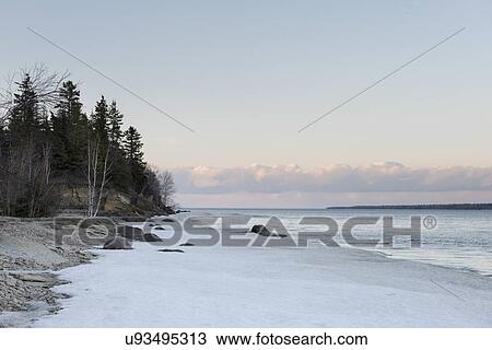 Stock Image - Trees at the lakeside, Lake Winnipeg, Riverton, Hecla Grindstone Provincial Park, Manitoba, Canada. Fotosearch