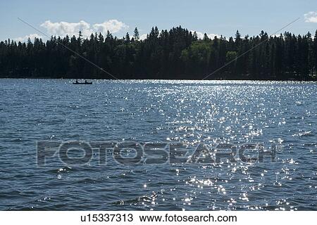 Stock Image - Trees at the lakeside, Wasagaming, Riding Mountain National Park, Manitoba, Canada. Fotosearch
