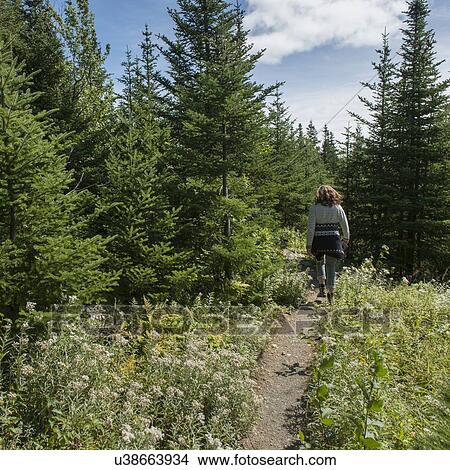 Woman at James W. Humber Hiking Trail, Norris Point, Gros Morne National Park, Newfoundland And Labrador, Canada View Large Photo Image Picture - Woman at James W. Humber Hiking Trail, Norris Point, Gros Morne National Park, Newfoundland And Labrador, Canada. Fotosearch