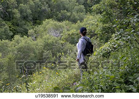 Stock Image - Woman standing in a forest, Riding Mountain National Park, Manitoba, Canada. Fotosearch